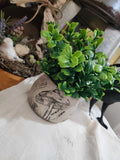 Mushroom Pot