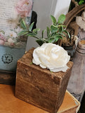 Sugar Mold